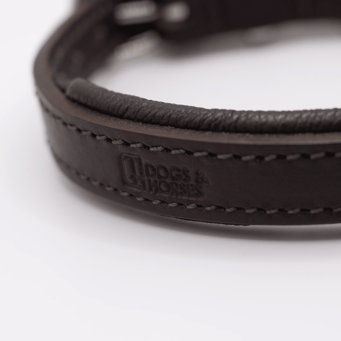 Dogs and horses padded collar best sale